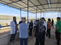 Department of Animal Science Organized a Technical Visit to a Fattening Facility
